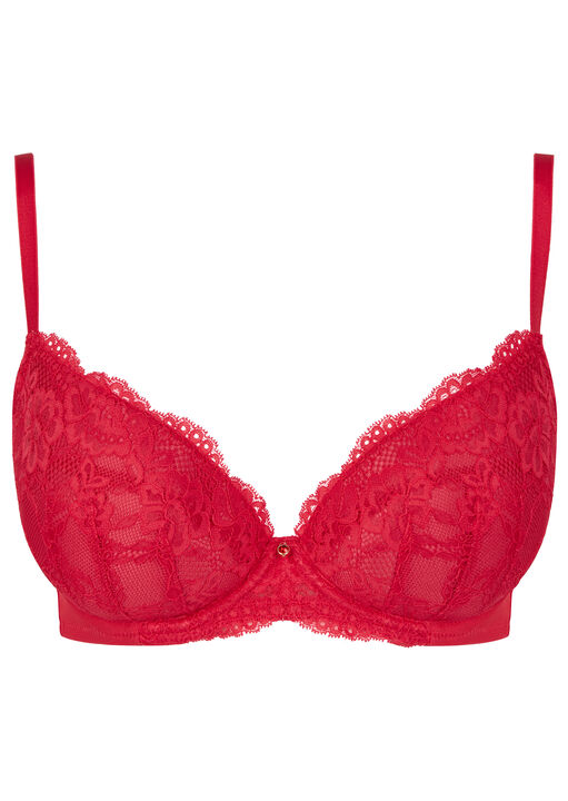 Sexy Lace Padded Plunge Bra image number 6.0