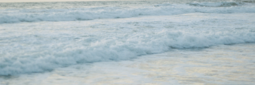 From Beachside to Bedside: The Sweats Scuba Collection